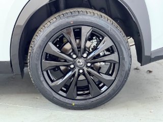 /photos/12354/5e7680a0-a41d-41aa-b781-23581dec2079_i320x240.jpg